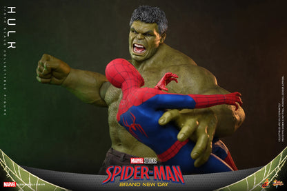Hot Toys 1/6 Hulk "Spider-Man: Brand New Day" | Hot Toys 1/6 Scale