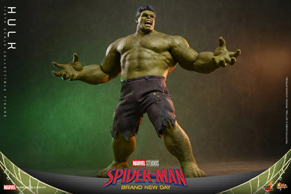 Hot Toys 1/6 Hulk "Spider-Man: Brand New Day" | Hot Toys 1/6 Scale