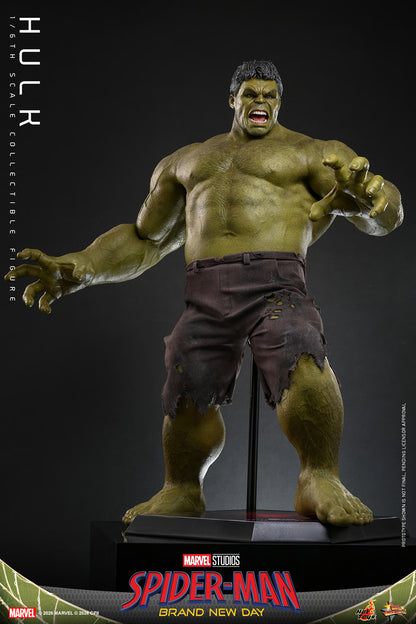 Hot Toys 1/6 Hulk "Spider-Man: Brand New Day" | Hot Toys 1/6 Scale