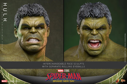 Hot Toys 1/6 Hulk "Spider-Man: Brand New Day" | Hot Toys 1/6 Scale