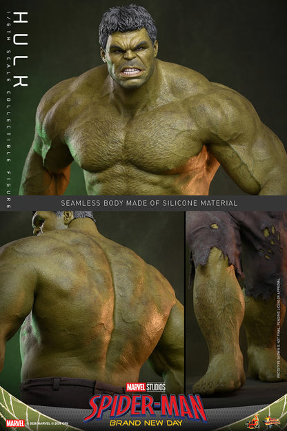 Hot Toys 1/6 Hulk "Spider-Man: Brand New Day" | Hot Toys 1/6 Scale