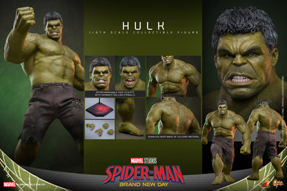 Hot Toys 1/6 Hulk "Spider-Man: Brand New Day" | Hot Toys 1/6 Scale
