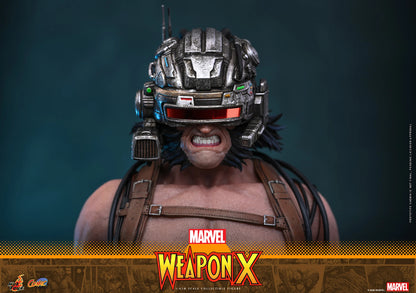 Hot Toys 1/6 Weapon X "Marvel Comics" | Hot Toys 1/6 Scale