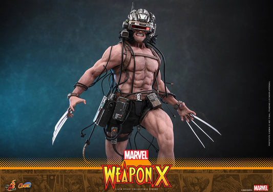 Hot Toys 1/6 Weapon X "Marvel Comics" | Hot Toys 1/6 Scale