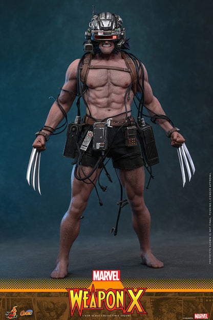 Hot Toys 1/6 Weapon X "Marvel Comics" | Hot Toys 1/6 Scale