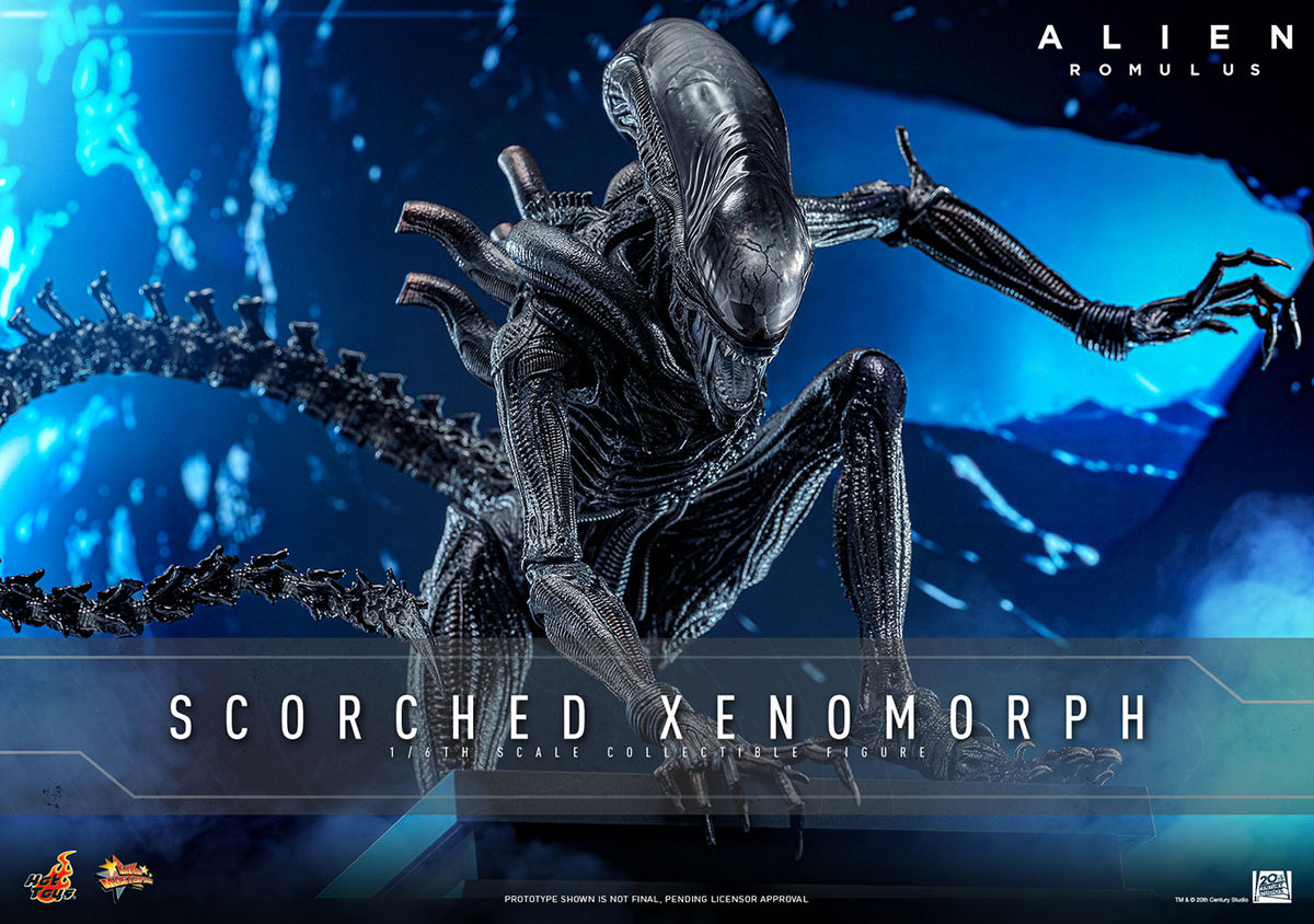 Official Hot Toys Scorched Xenomorph MMS784 product photo 1