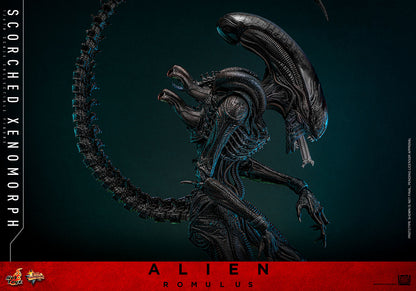 Official Hot Toys Scorched Xenomorph MMS784 product photo 10