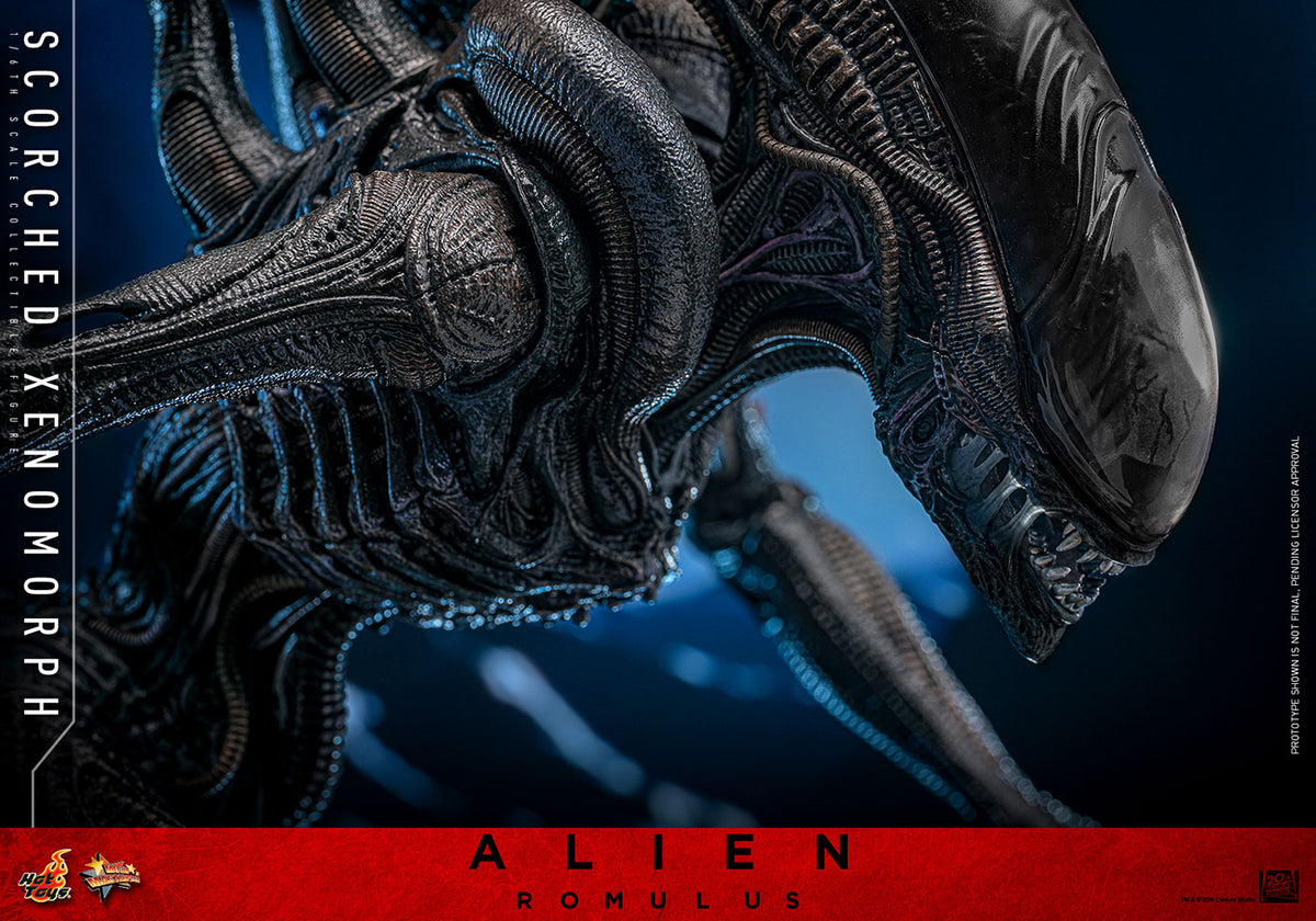 Official Hot Toys Scorched Xenomorph MMS784 product photo 14