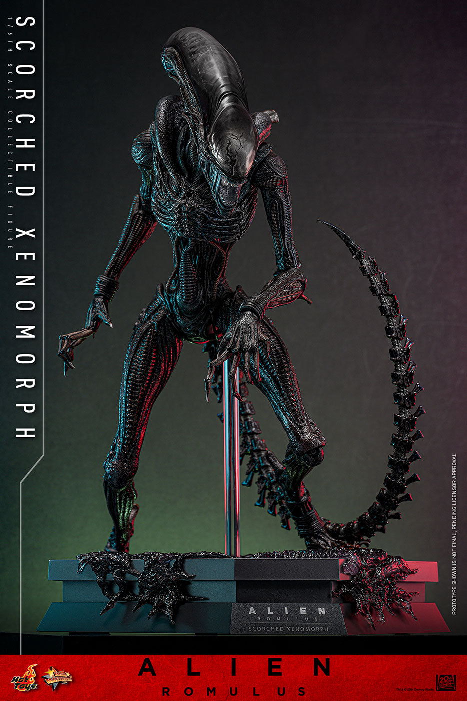 Official Hot Toys Scorched Xenomorph MMS784 product photo 4