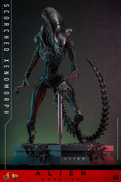 Official Hot Toys Scorched Xenomorph MMS784 product photo 4