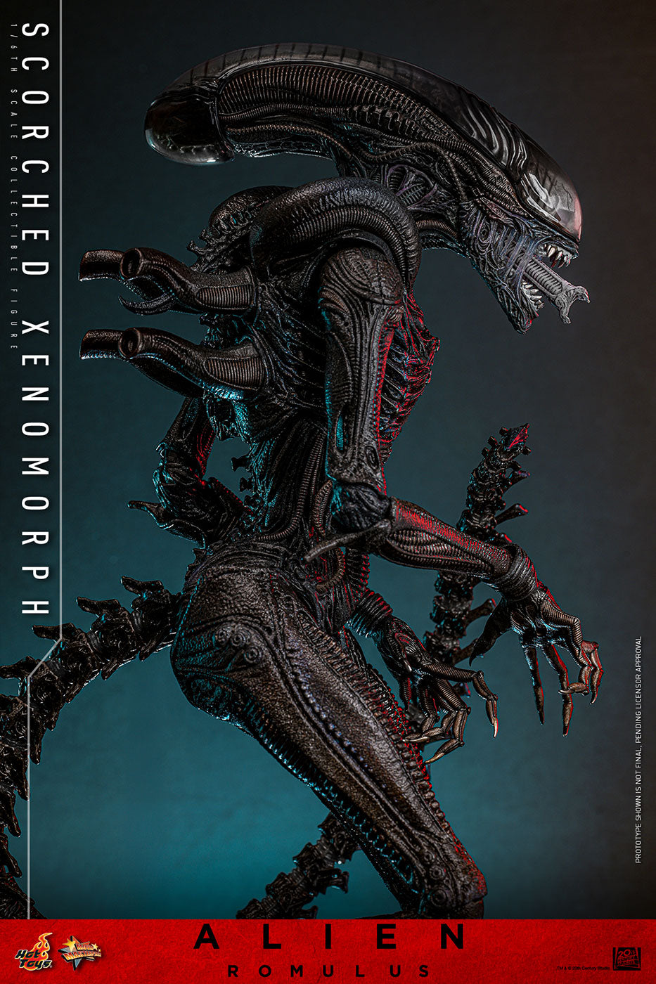 Official Hot Toys Scorched Xenomorph MMS784 product photo 7