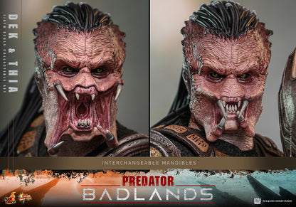 Hot Toys Dek and Thia Sixth Scale Figure set "Predator: Badlands" | Hot Toys