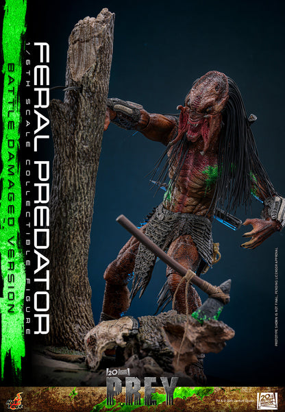 Hot Toys 1/6 Feral Predator (Battle Damaged Version) "Predator: Prey" | Hot Toys 1/6 Scale