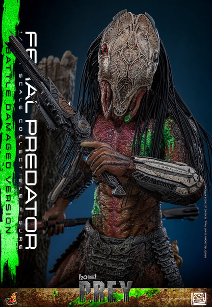 Hot Toys 1/6 Feral Predator (Battle Damaged Version) "Predator: Prey" | Hot Toys 1/6 Scale