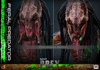Hot Toys 1/6 Feral Predator (Battle Damaged Version) "Predator: Prey" | Hot Toys 1/6 Scale