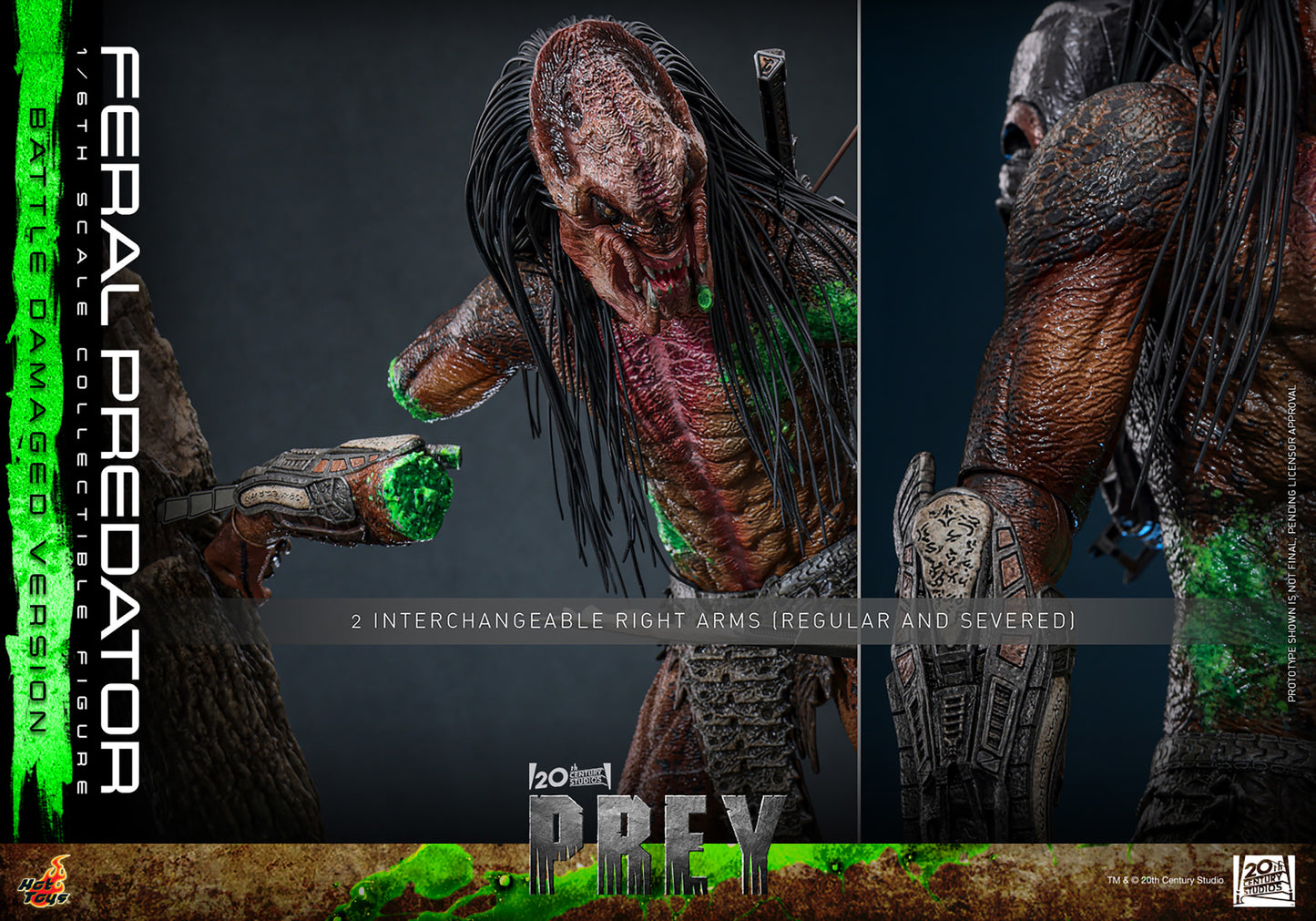 Hot Toys 1/6 Feral Predator (Battle Damaged Version) "Predator: Prey" | Hot Toys 1/6 Scale