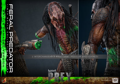 Hot Toys 1/6 Feral Predator (Battle Damaged Version) "Predator: Prey" | Hot Toys 1/6 Scale