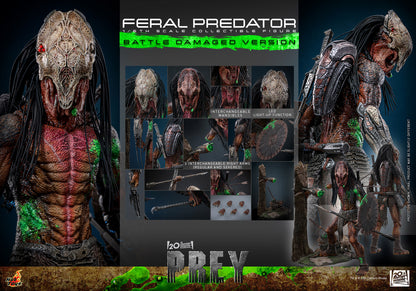 Hot Toys 1/6 Feral Predator (Battle Damaged Version) "Predator: Prey" | Hot Toys 1/6 Scale