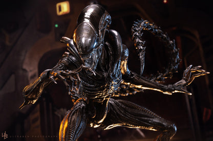 Hot Toys Alien Romulus Scorched Xenomorph sixth scale figure photo 3
