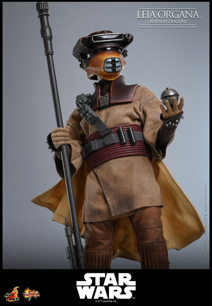 Hot Toys Leia Organa (Boushh Disguise) Sixth Scale Figure "Star Wars: Return of the Jedi" | Hot Toys
