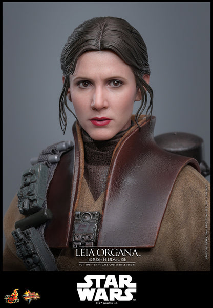 Hot Toys Leia Organa (Boushh Disguise) Sixth Scale Figure "Star Wars: Return of the Jedi" | Hot Toys