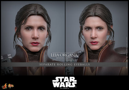 Hot Toys Leia Organa (Boushh Disguise) Sixth Scale Figure "Star Wars: Return of the Jedi" | Hot Toys