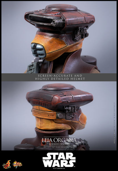 Hot Toys Leia Organa (Boushh Disguise) Sixth Scale Figure "Star Wars: Return of the Jedi" | Hot Toys