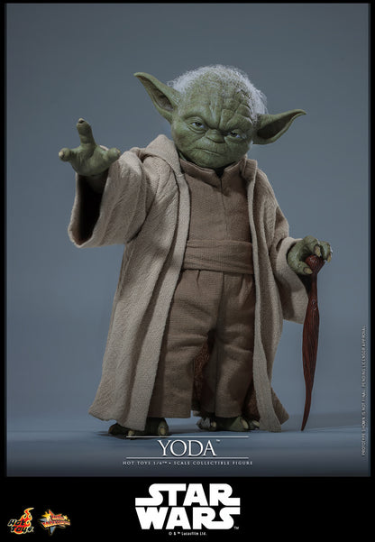 Hot Toys 1/6 Yoda "Star Wars: Revenge of the Sith" | Hot Toys 1/6 Scale