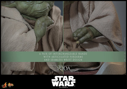 Hot Toys 1/6 Yoda "Star Wars: Revenge of the Sith" | Hot Toys 1/6 Scale