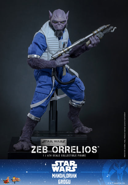 Hot Toys 1/6 Zeb Orrelios "Star Wars: The Mandalorian and Grugu" | Hot Toys 1/6 Scale