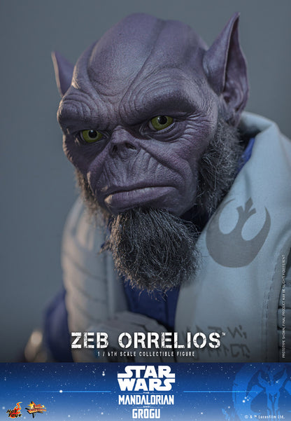 Hot Toys 1/6 Zeb Orrelios "Star Wars: The Mandalorian and Grugu" | Hot Toys 1/6 Scale