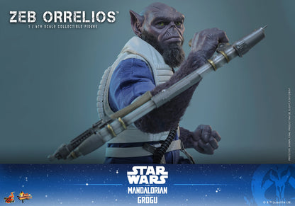 Hot Toys 1/6 Zeb Orrelios "Star Wars: The Mandalorian and Grugu" | Hot Toys 1/6 Scale