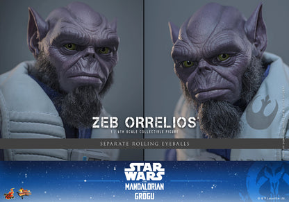Hot Toys 1/6 Zeb Orrelios "Star Wars: The Mandalorian and Grugu" | Hot Toys 1/6 Scale