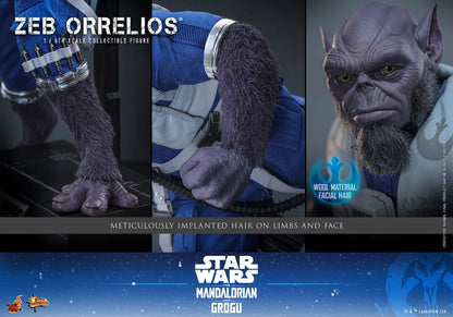 Hot Toys 1/6 Zeb Orrelios "Star Wars: The Mandalorian and Grugu" | Hot Toys 1/6 Scale