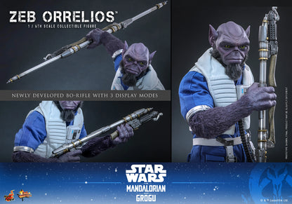 Hot Toys 1/6 Zeb Orrelios "Star Wars: The Mandalorian and Grugu" | Hot Toys 1/6 Scale