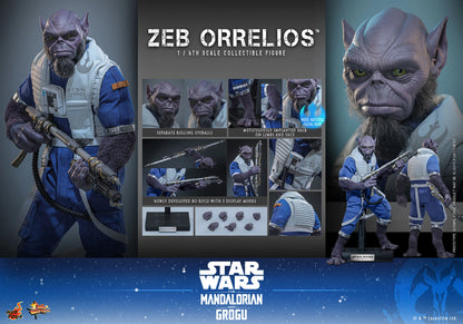 Hot Toys 1/6 Zeb Orrelios "Star Wars: The Mandalorian and Grugu" | Hot Toys 1/6 Scale
