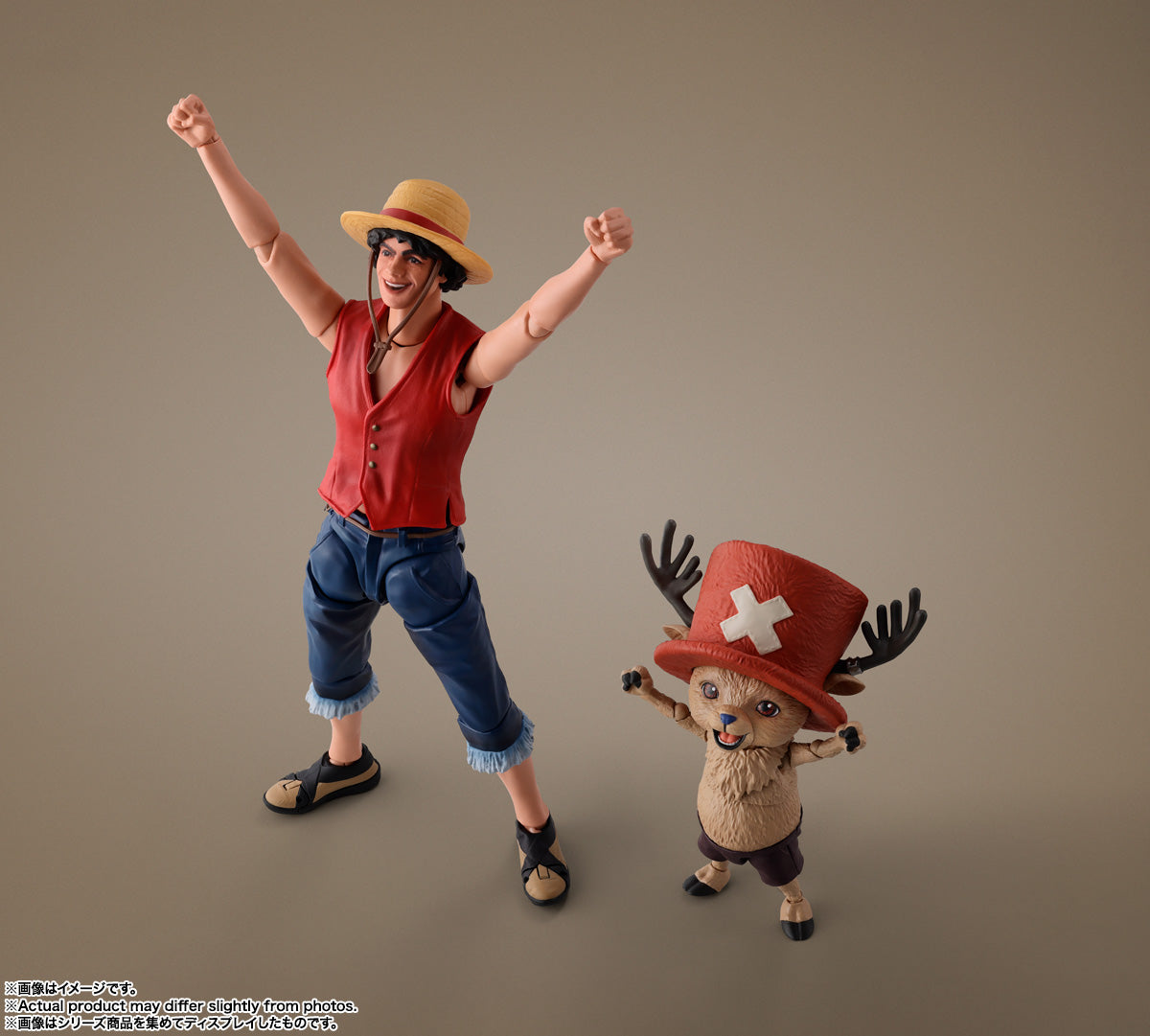 Tony Tony Chopper with S.H.Figuarts Monkey D. Luffy