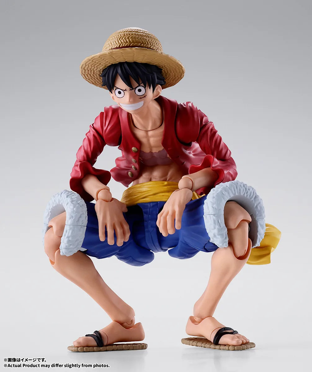 S.H.Figuarts Monkey D. Luffy Two Years Later Action Figure