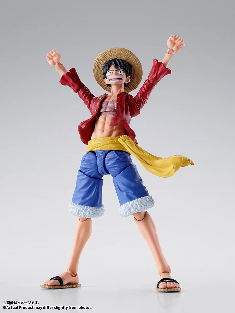 S.H.Figuarts Monkey D. Luffy Two Years Later Action Figure
