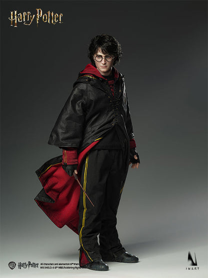 INART Harry Potter and the Goblet of Fire 1/6 collectible figure - view 2